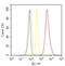 RAR Related Orphan Receptor A antibody, PA1-812, Invitrogen Antibodies, Flow Cytometry image 