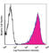 Podoplanin antibody, 337007, BioLegend, Flow Cytometry image 