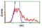 Adenylate Kinase 5 antibody, NBP2-02978, Novus Biologicals, Flow Cytometry image 