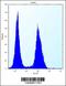 Citrulline--aspartate ligase antibody, 56-532, ProSci, Immunofluorescence image 