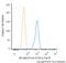 Melanoma Cell Adhesion Molecule antibody, NBP1-43346PCP, Novus Biologicals, Flow Cytometry image 