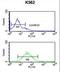 DENN domain-containing protein 1A antibody, LS-C167356, Lifespan Biosciences, Flow Cytometry image 