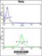 N-alpha-acetyltransferase 50, NatE catalytic subunit antibody, 61-775, ProSci, Flow Cytometry image 