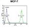 Cyclin T1 antibody, abx025835, Abbexa, Flow Cytometry image 