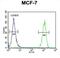 CycT1 antibody, abx025835, Abbexa, Flow Cytometry image 