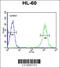 Beta-1,4-Galactosyltransferase 1 antibody, OAAB05488, Aviva Systems Biology, Flow Cytometry image 