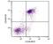 CD38 Molecule antibody, NBP1-27951, Novus Biologicals, Flow Cytometry image 