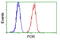 Cytochrome P450 Oxidoreductase antibody, LS-B9404, Lifespan Biosciences, Flow Cytometry image 