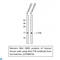 Transthyretin antibody, LS-C813242, Lifespan Biosciences, Western Blot image 