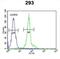 Intraflagellar Transport 172 antibody, abx032502, Abbexa, Flow Cytometry image 