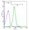 BMP And Activin Membrane Bound Inhibitor antibody, GTX51308, GeneTex, Flow Cytometry image 