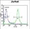 Phosphodiesterase 3B antibody, PA5-71620, Invitrogen Antibodies, Flow Cytometry image 