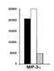 C-C motif chemokine 20 antibody, DDX0420HRPO, Novus Biologicals, Neutralising image 