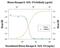 Interleukin 18 antibody, PA5-47344, Invitrogen Antibodies, Neutralising image 