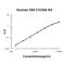 Syndecan 3 antibody, EK1555, Boster Biological Technology, Enzyme Linked Immunosorbent Assay image 