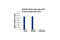 CAMP Responsive Element Binding Protein 1 antibody, 9197T, Cell Signaling Technology, Chromatin Immunoprecipitation image 