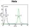 Cytidine/Uridine Monophosphate Kinase 2 antibody, abx032438, Abbexa, Flow Cytometry image 