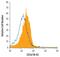 CD36 Molecule antibody, MAB25191, R&D Systems, Flow Cytometry image 