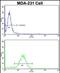 Collectin Subfamily Member 11 antibody, PA5-72477, Invitrogen Antibodies, Flow Cytometry image 