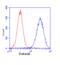 Frataxin antibody, ab110328, Abcam, Flow Cytometry image 