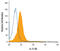 Interleukin 31 Receptor A antibody, AF2769, R&D Systems, Western Blot image 