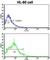 Beta-Secretase 2 antibody, abx032689, Abbexa, Western Blot image 