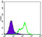 THAP Domain Containing 11 antibody, M08519, Boster Biological Technology, Enzyme Linked Immunosorbent Assay image 