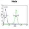 Adenylate Cyclase 4 antibody, abx034551, Abbexa, Flow Cytometry image 