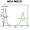 Tafazzin antibody, abx034111, Abbexa, Flow Cytometry image 