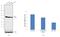 Phosphoglycerate Kinase 1 antibody, PA5-28612, Invitrogen Antibodies, Western Blot image 