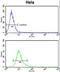 Lysophosphatidylcholine Acyltransferase 1 antibody, LS-C163405, Lifespan Biosciences, Flow Cytometry image 