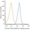 Neural Cell Adhesion Molecule 1 antibody, NBP2-34397APC, Novus Biologicals, Flow Cytometry image 