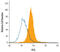 C-Type Lectin Domain Family 2 Member D antibody, AF3480, R&D Systems, Flow Cytometry image 