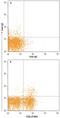 Fc Receptor Like 3 antibody, PA5-47453, Invitrogen Antibodies, Flow Cytometry image 