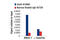 Integrator Complex Subunit 9 antibody, 13945S, Cell Signaling Technology, Chromatin Immunoprecipitation image 