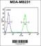 Corticotropin Releasing Hormone Receptor 2 antibody, MBS9204415, MyBioSource, Flow Cytometry image 