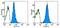 Solute Carrier Family 3 Member 2 antibody, 12-0981-81, Invitrogen Antibodies, Flow Cytometry image 