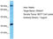 Olfactory Receptor Family 4 Subfamily A Member 47 antibody, TA337501, Origene, Western Blot image 