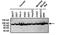 Heat Shock Protein 90 Alpha Family Class B Member 1 antibody, GTX79247, GeneTex, Western Blot image 