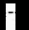 Ribonucleotide Reductase Regulatory Subunit M2 antibody, GTX02222, GeneTex, Immunoprecipitation image 