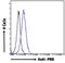 Translocator protein antibody, PA5-19088, Invitrogen Antibodies, Flow Cytometry image 