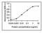 Peptide YY antibody, NB100-75583, Novus Biologicals, Enzyme Linked Immunosorbent Assay image 