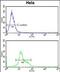 Deltex E3 Ubiquitin Ligase 4 antibody, PA5-49652, Invitrogen Antibodies, Flow Cytometry image 