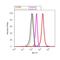 Lysine Methyltransferase 2B antibody, 701869, Invitrogen Antibodies, Flow Cytometry image 