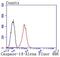 Caspase 14 antibody, NBP2-67877, Novus Biologicals, Flow Cytometry image 