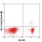 FOXP3 antibody, 126405, BioLegend, Immunocytochemistry image 