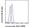 RRAD, Ras Related Glycolysis Inhibitor And Calcium Channel Regulator antibody, 43-008, ProSci, Western Blot image 