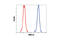 MEK1, MEK2 antibody, 8727T, Cell Signaling Technology, Flow Cytometry image 