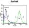 Olfactory Receptor Family 4 Subfamily N Member 4 antibody, abx026281, Abbexa, Western Blot image 