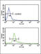 Neuroendocrine convertase 2 antibody, 63-051, ProSci, Flow Cytometry image 